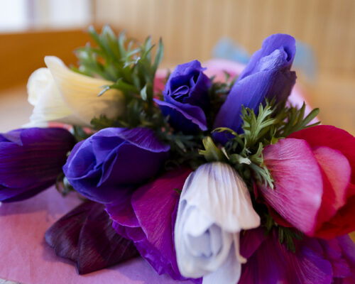 Valentine's Day Flowers