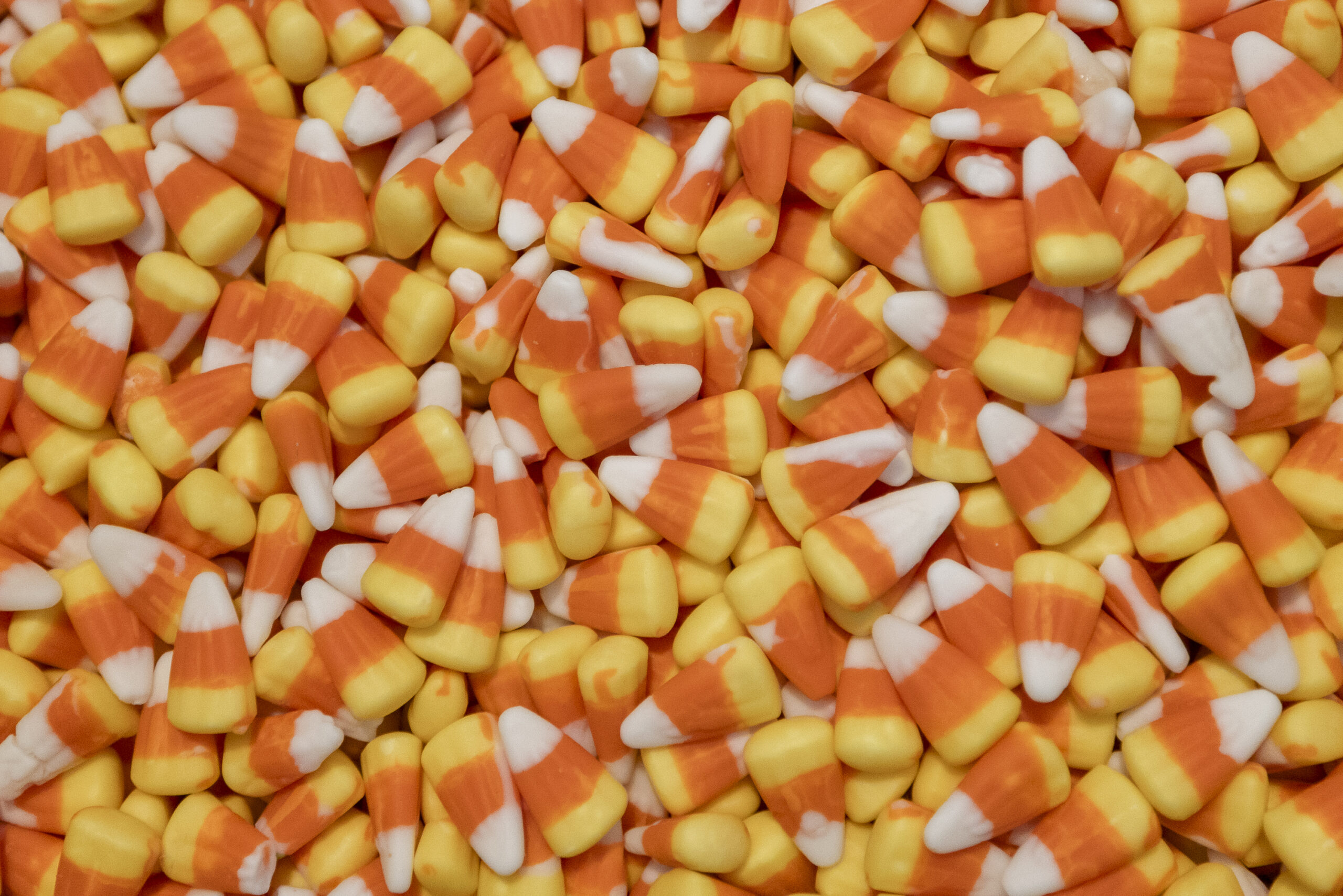 Spooktacular Sampler